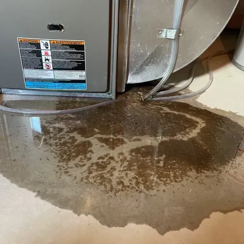 Appliance Leak Cleanup in Hanover, OH